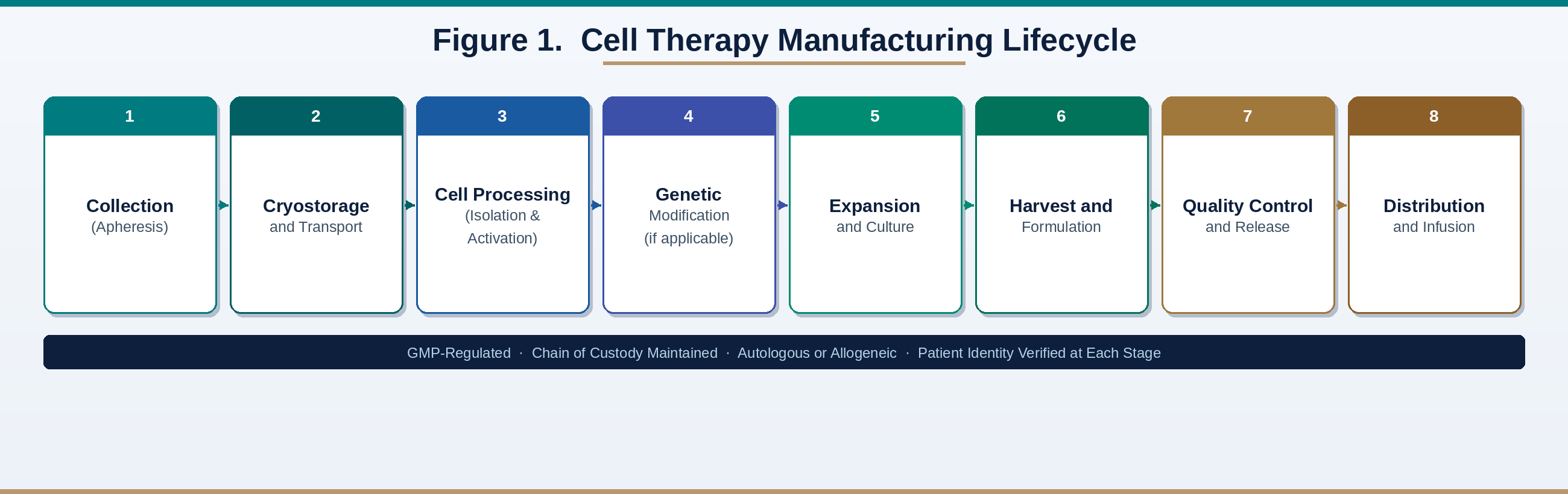 Figure 1: Cell Therapy Manufacturing Lifecycle
